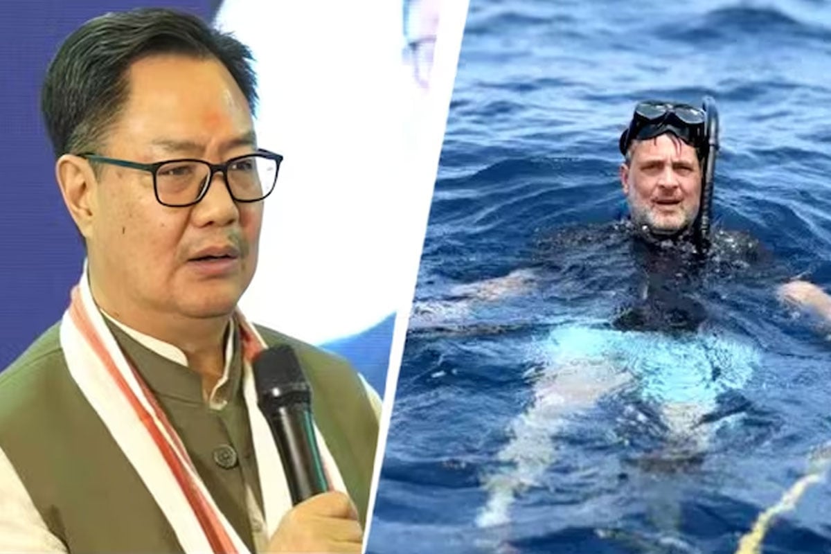 ‘জাতীয় স্বার্থেই নিকোবর প্রকল্প’, সবুজ ধ্বংস নিয়ে সাফই দিয়ে রাহুল গান্ধীকে তোপ রিজিজুর