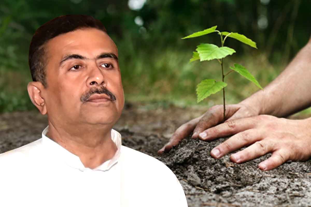 বাতাসে বিষ! পরিবেশ বাঁচাতে প্রধানমন্ত্রীর দেখানো পথে হাঁটছেন শুভেন্দু
