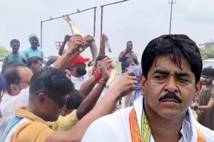 ডিম হাতে শওকতের অপেক্ষা ভাঙড়ের জনতার, ‘মাছ চোর’ গানের ছন্দে নাচ এনআইএ অফিসের সামনে