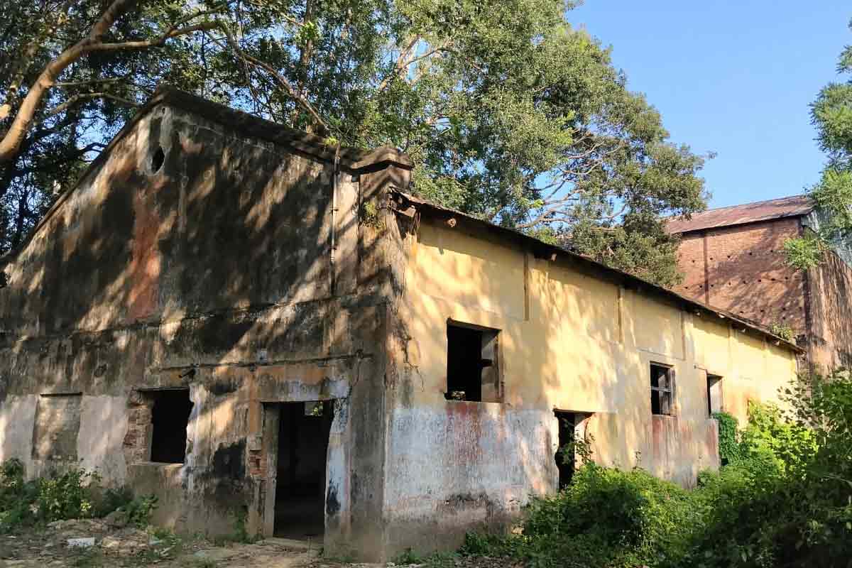 Sugar-mill-2
