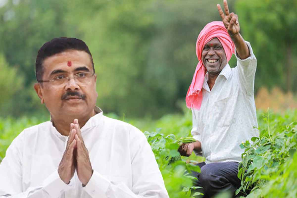 আলুচাষে কোল্ডস্টোরেজ থেকে উত্তরবঙ্গে ‘স্পাইস হাব’, কৃষকদের উন্নতি খাতে বাজেটে একগুচ্ছ ঘোষণা