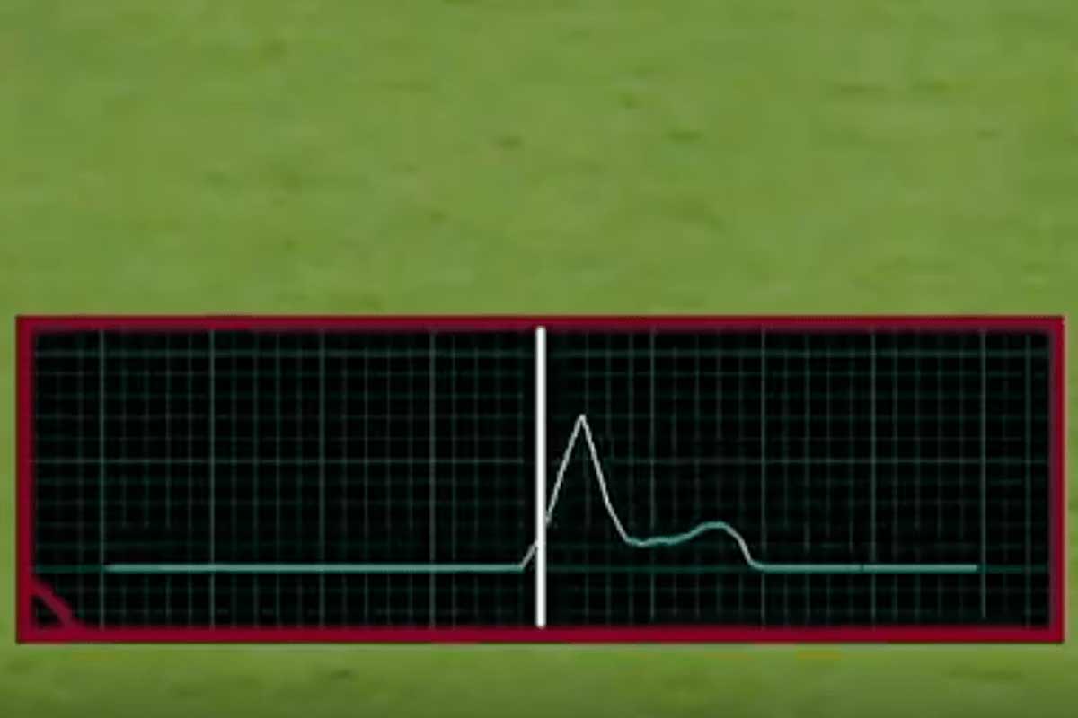 Use of Snicko in Sweden vs Tunisia match