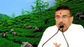 ‘পাহাড়ে সব বন্ধ চা বাগান খুলবে’, বড় ঘোষণা মুখ্যমন্ত্রীর, আশায় বুক বাঁধছেন শ্রমিকরা