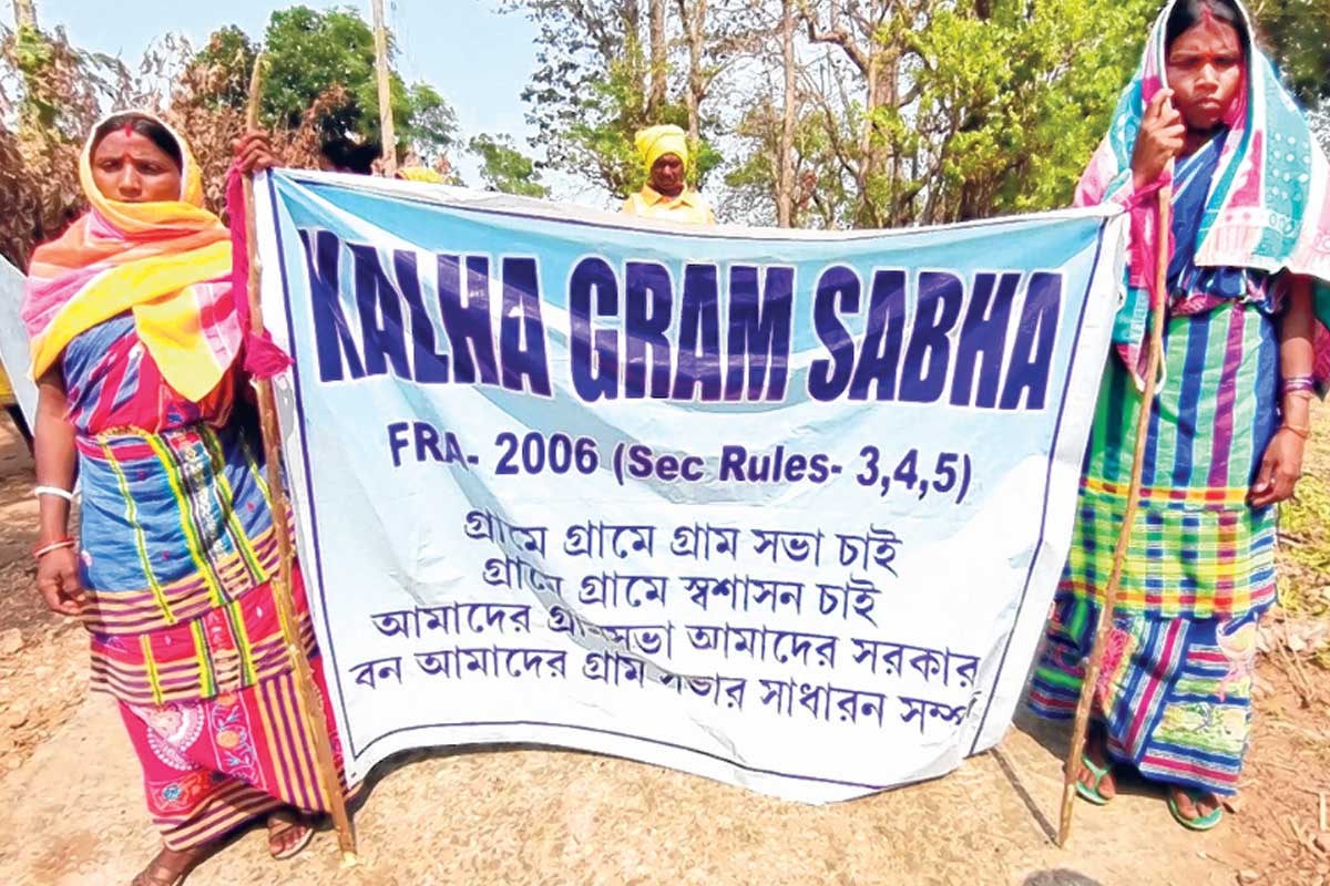 মা ‘আম গাছ’, বাবা ‘শাল’! পরিবারের মৃত সদস্যদের নাম বৃক্ষরোপণ করে জনজাতি সমাজ