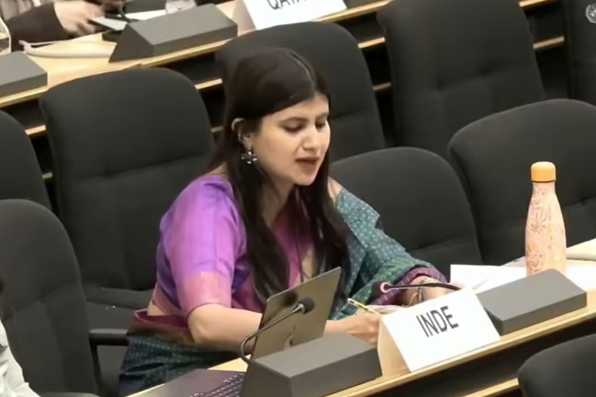 ‘ফ্যাঙ্কেনস্টাইন রাষ্ট্র’, নিজের তৈরি জঙ্গিদের মার খেয়ে হতবাক, রাষ্ট্রসংঘে পাকিস্তানকে ধুয়ে দিল ভারত