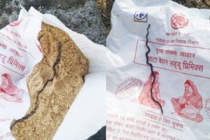অঙ্গনওয়াড়ির খাবারে আস্ত সাপ! সেই খাবারের প্যাকেট দেওয়া হল অন্তঃসত্ত্বাকে, তারপর…