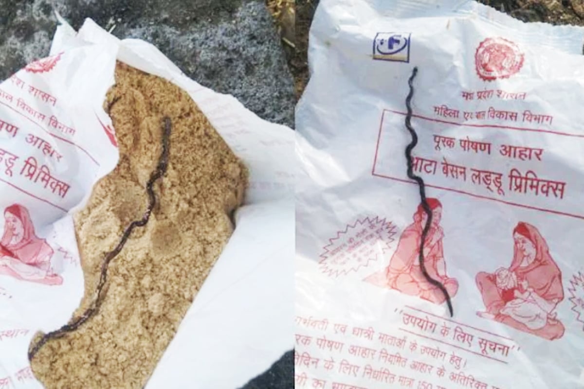 অঙ্গনওয়াড়ির খাবারে আস্ত সাপ! সেই খাবারের প্যাকেট দেওয়া হল অন্তঃসত্ত্বাকে, তারপর…