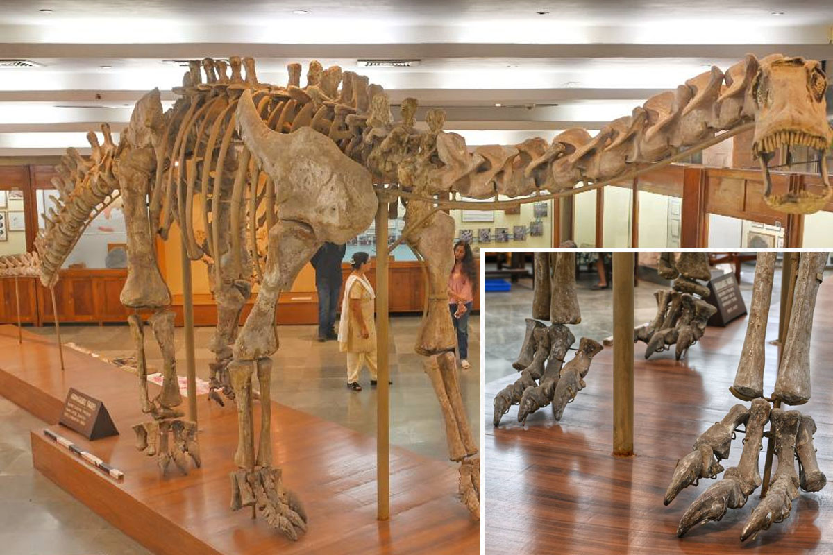 dinosaur found in India named after Rabindranath Tagore