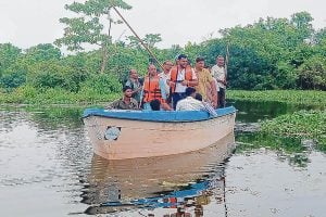 বক্সায় ফের বাঘের গর্জন, টাইগার ট্যুরিজম নিয়ে কী জানালেন বনমন্ত্রী?