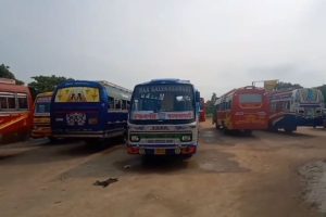 বাসকর্মীকে পিটিয়ে খুন টোটো চালকদের! প্রতিবাদে শান্তিপুরের তিনটি রুটে অনির্দিষ্টকালের বাস ধর্মঘট