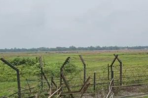 অনুপ্রবেশ-চোরাচালানে বাধা! ভারতীয় চাষিকে তুলে নিয়ে গেল বাংলাদেশি দুষ্কৃতীরা, হুলস্থূল জলপাইগুড়িতে