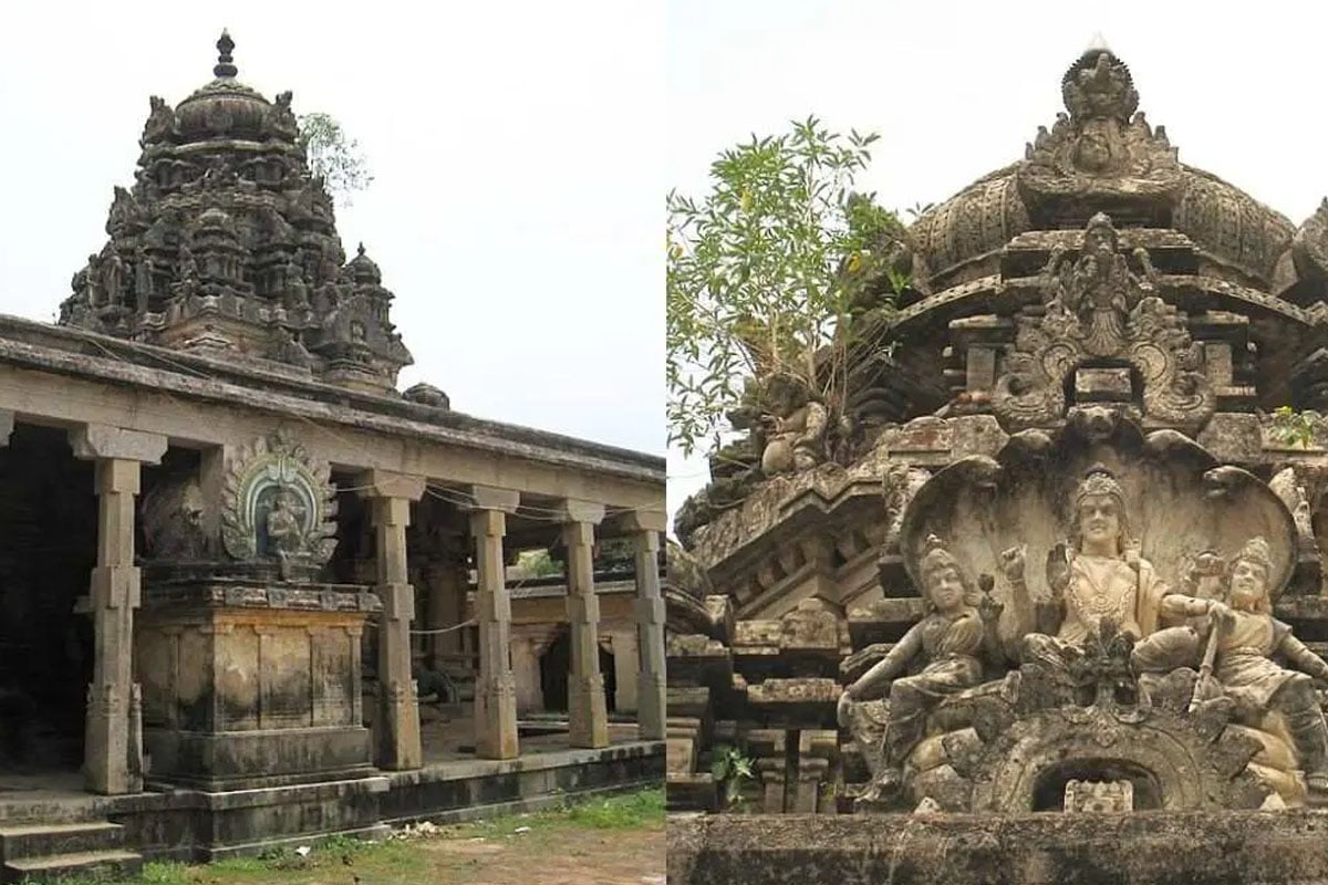 Diabetes Temple in Tamil Nadu where ants carry away blood sugar