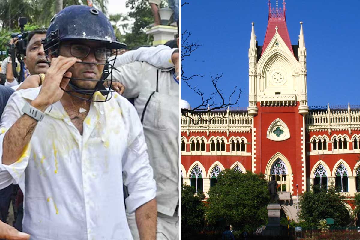 গণতান্ত্রিক পরিবেশের পরিপন্থী! ডিম থেরাপির বিরুদ্ধে আদালতে দায়ের জনস্বার্থ মামলা