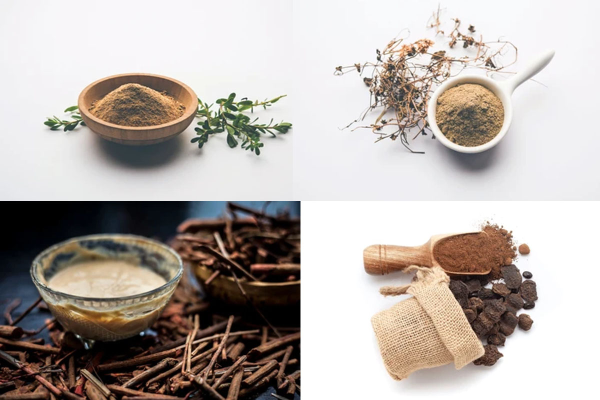 5 ayurvedic powders that work great as hair masks