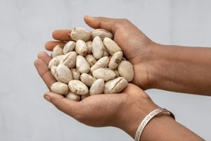 কাজু-আমন্ড অতীত, এই চেনা ফলের বীজই ‘সুপারফুড’!