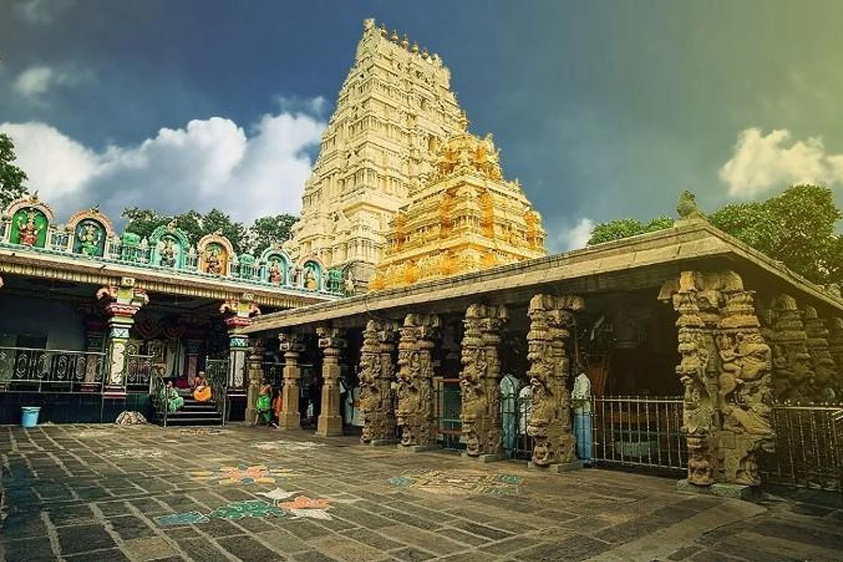 how to reach jyotirlinga stranded inside India's largest tiger reserve