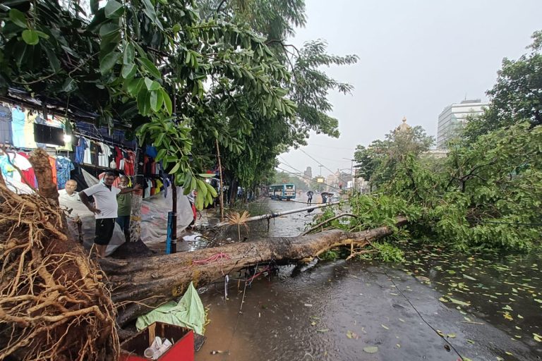মুহুর্মুহু বাজ, মুষলধারায় বৃষ্টি কলকাতায়, মহানগরে একাধিক রাস্তায় ভেঙে পড়ল গাছ