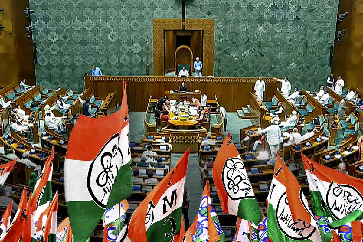 সংবিধান সংশোধনে প্রয়োজন দুই-তৃতীয়াংশ! লোকসভায় তৃণমূল ভাঙিয়ে ‘জাদুসংখ্যা’ ছুঁতে পারল এনডিএ?