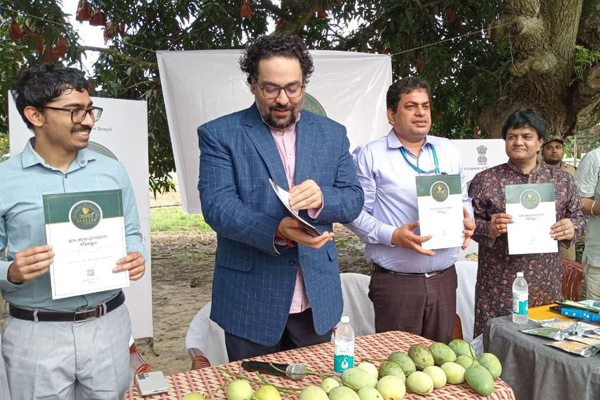 Maldah mangoes going to America FIFA World Cup 2026