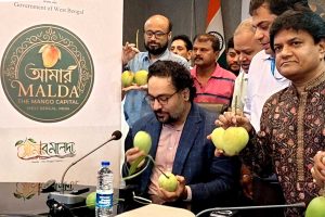 আমেরিকা পাড়ি বাংলার আমের, এবার ফুটবল বিশ্বকাপে গোল দেবে মালদহের হিমসাগর-ল্যাংড়া-ফজলি!