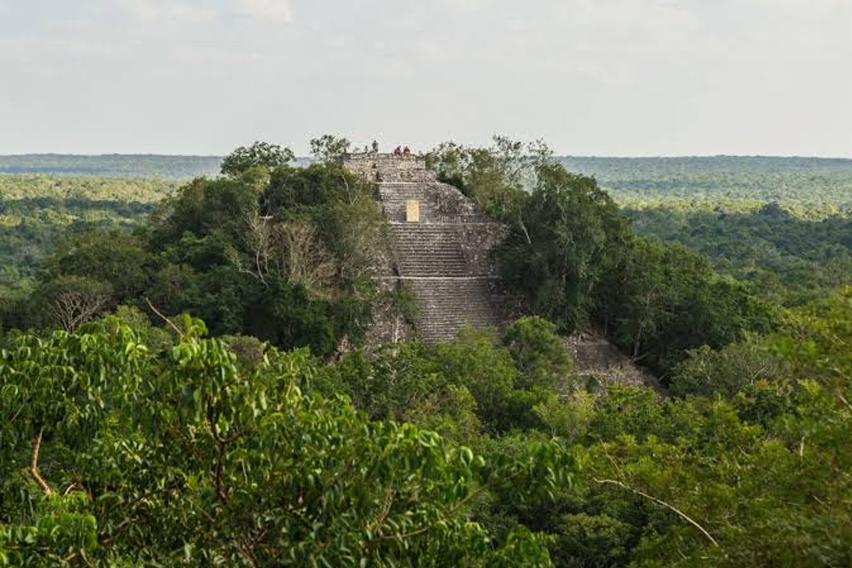 ancient mayan city found in mexican jungle