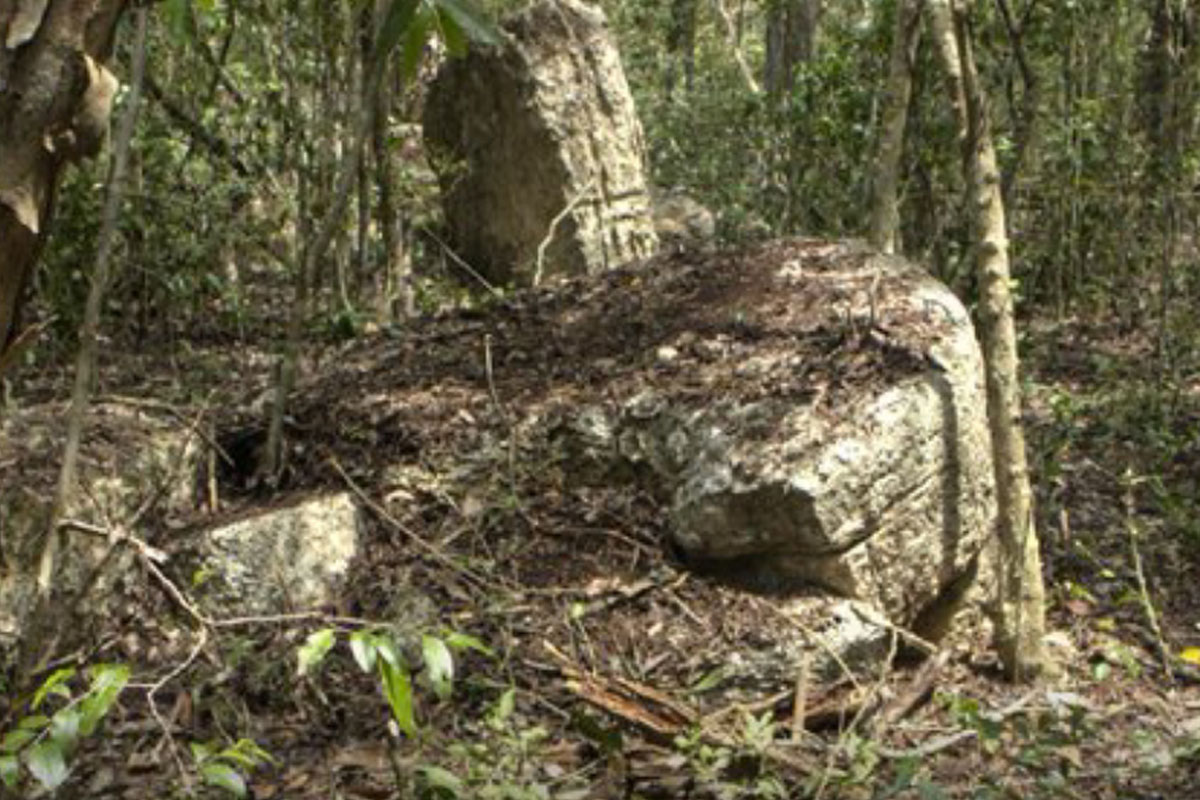 ancient mayan city found in mexican jungle