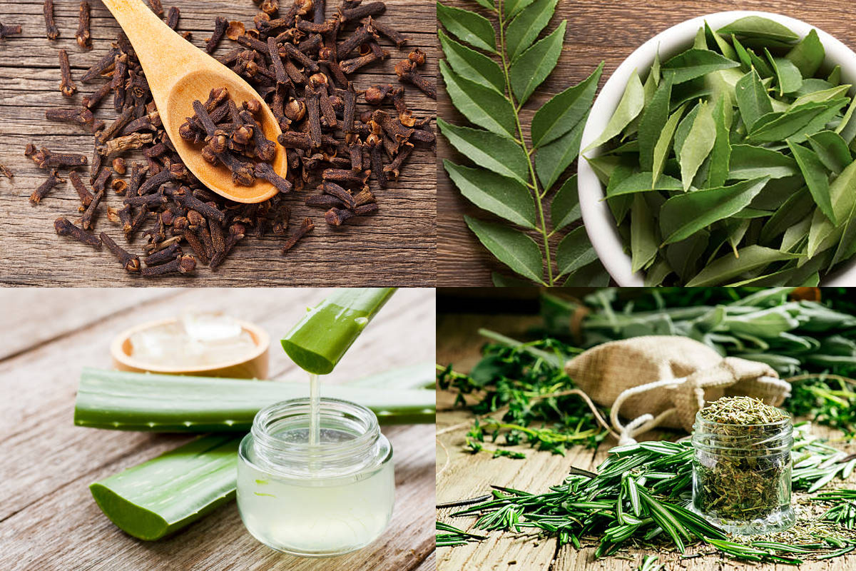 4 natural ingredients to add to methi water for hair care