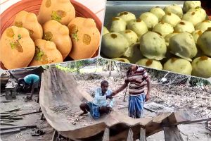 ‘দীর্ঘ লড়াইয়ের স্বীকৃতি’, জলভরা-মনোহরা-নৌকার জিআই প্রাপ্তিতে কী প্রতিক্রিয়া নির্মাতাদের?