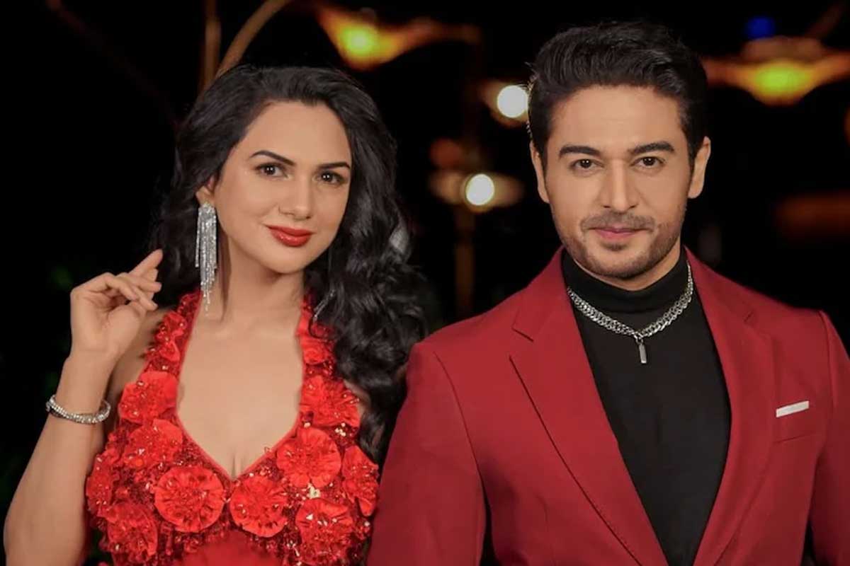 Akanksha Says Motherhood Difference Led to Split with Gaurav Khanna
