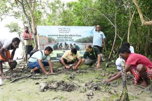 মাতলার চরে সবুজের উৎসব, সুন্দরবন বাঁচাতে রোপণ করা হল হাজার হাজার ম্যানগ্রোভ