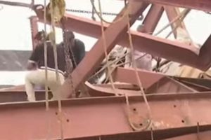 তারাতলায় হুড়মুড়িয়ে ভাঙল নির্মীয়মাণ গোডাউন! আটকে বহু শ্রমিক, হু হু করে বাড়ছে মৃতের সংখ্যা