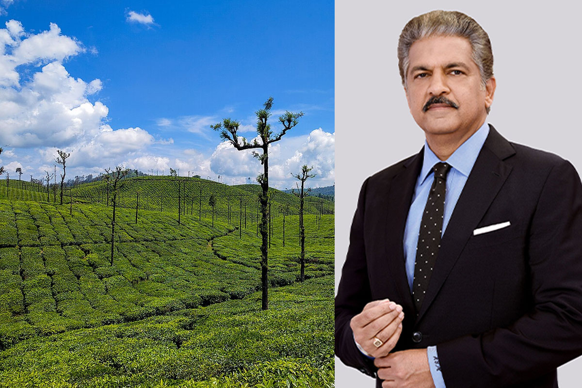 Discover Valparai, Tamil Nadu's hidden tourist spot.