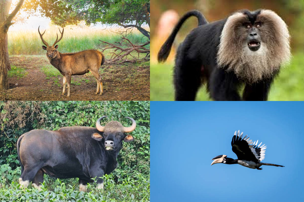 Tourists Spot in Tamil Nadu