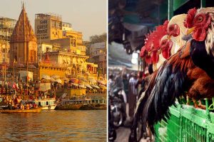 বিশ্বনাথের শহরে মাছমাংস নয়, এবার বারাণসীর বাইরে আমিষের দোকান সরানোর প্রস্তাবে সিলমোহর!