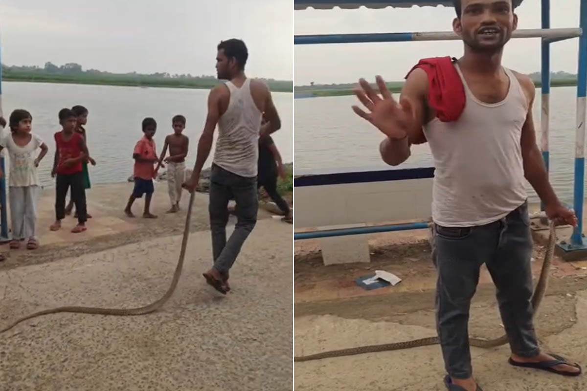 সাপ কামড়ানোয় সাপকেও কামড়! মালদহে ‘প্রতিশোধী’ যুবকের কাণ্ড দেখে শিউরে উঠল নেটপাড়া