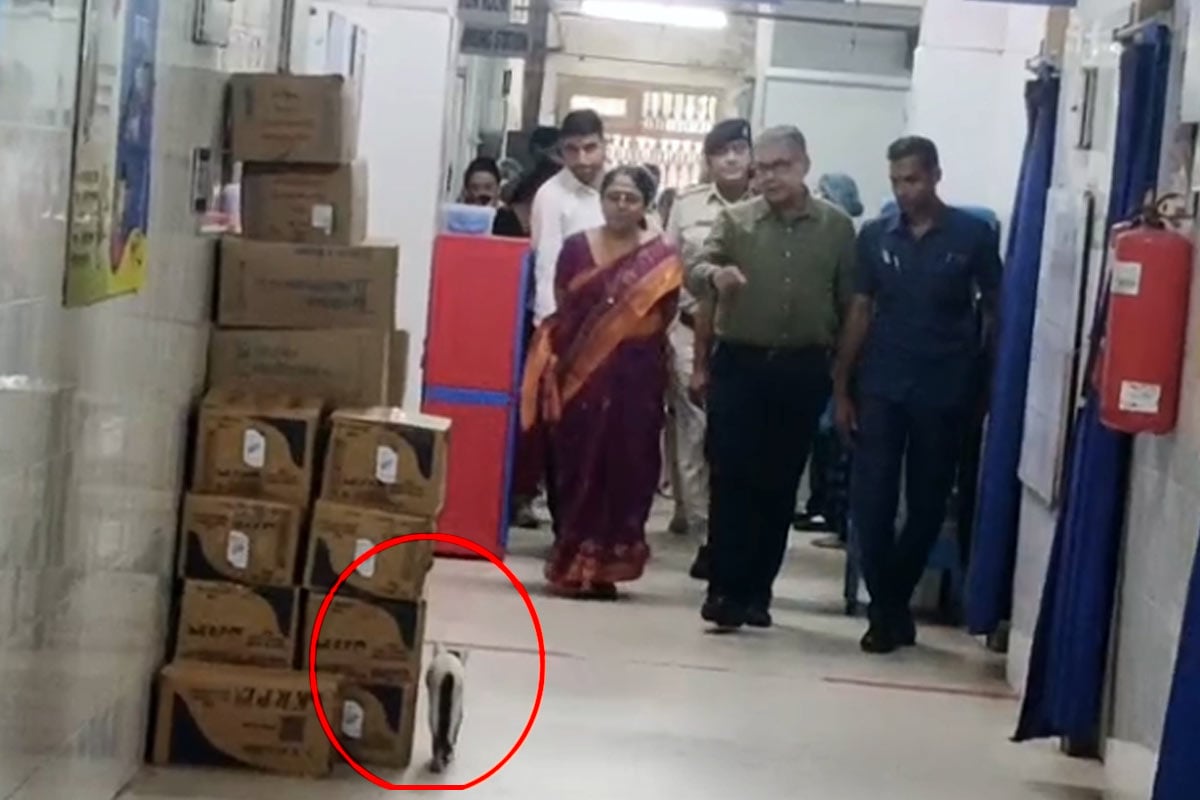 স্বাস্থ্যমন্ত্রীর পরিদর্শনের সময় বারাসত হাসপাতালের বারান্দায় বিড়াল, ১২ জনকে শোকজ