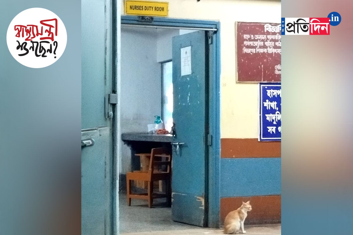 এনআরএসে বিড়াল সন্ত্রাস!
