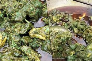লাল ঝোলে সবুজ গোমাংস! রান্নার পর ‘রংবদল’ দেখে কড়াই নিয়ে থানায় ছুটলেন যুবকরা