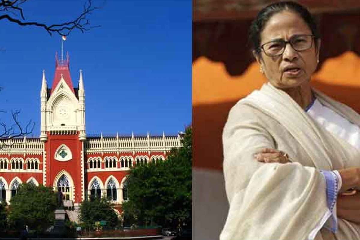 ধর্মতলায় না, ‘কালীঘাট তৃণমূলে’র ২১ জুলাই কোথায়? রাজ্যের অবস্থান জানতে চাইল আদালত