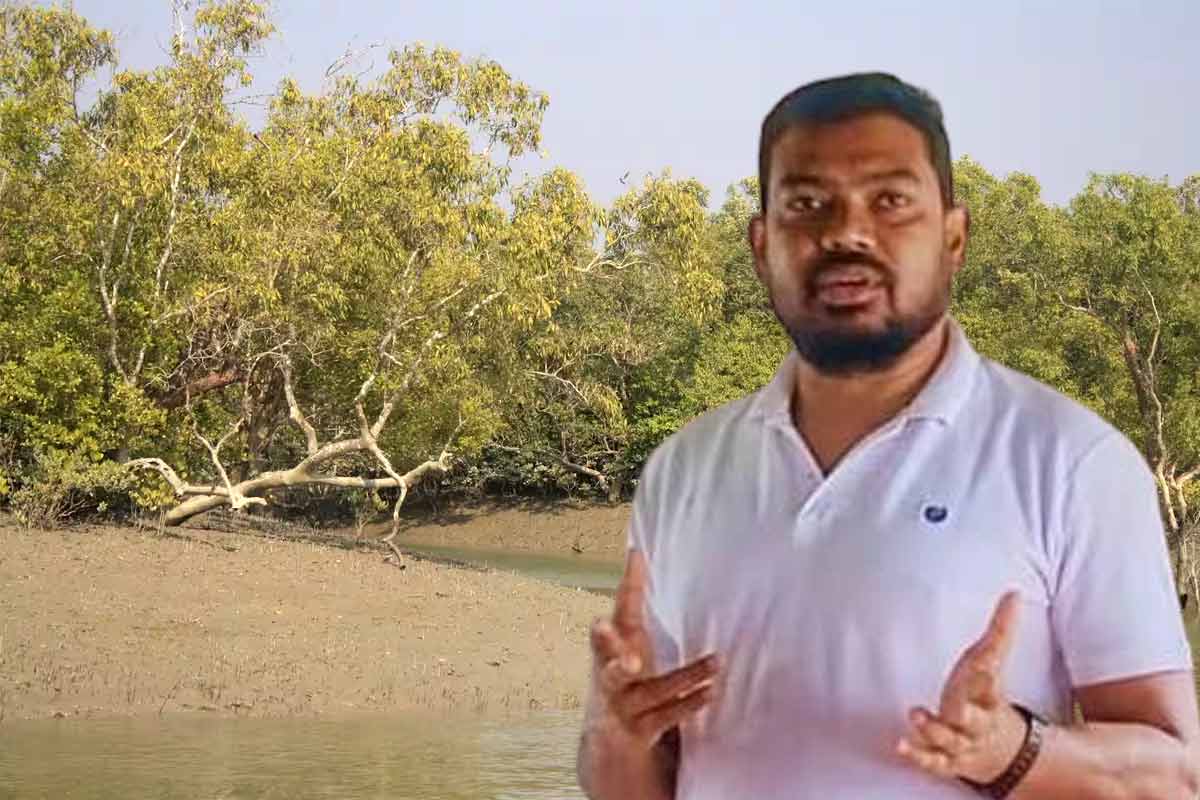 ম্যানগ্রোভ ধ্বংস করে রিসর্ট! নেপথ্যের ‘কেষ্ট-বিষ্টুদের’ খোঁজে অডিটের নির্দেশ বনমন্ত্রীর