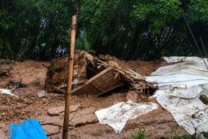 নাগাল্যান্ডে ভয়ংকর ভূমিধসে মৃত শিশু-সহ অন্তত ৮, নিখোঁজ অনেকে, চলছে উদ্ধারকাজ