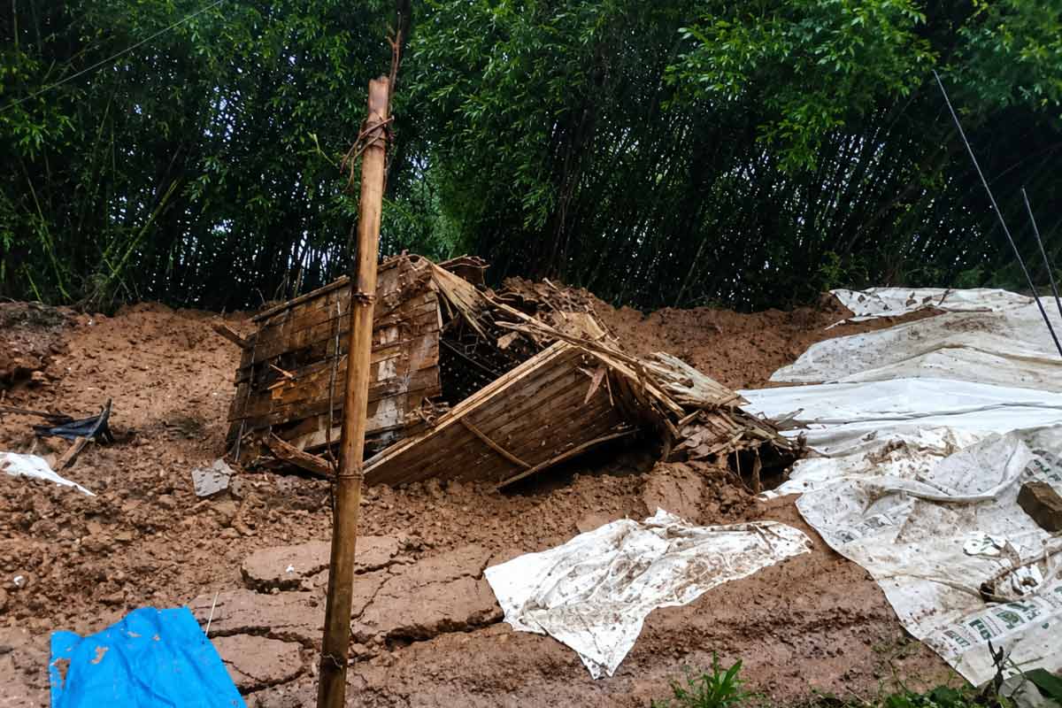 নাগাল্যান্ডে ভয়ংকর ভূমিধসে মৃত শিশু-সহ অন্তত ৮, নিখোঁজ অনেকে, চলছে উদ্ধারকাজ