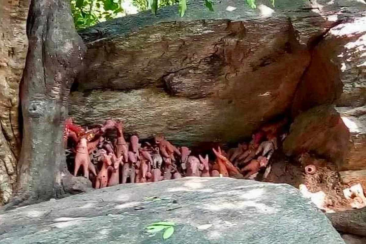 প্রকৃতির উপাসনা! পাহাড়কে দেবজ্ঞানে পুজো, জঙ্গলমহলের ঐতিহ্যবাহী লোকাচারের কথা জানেন?