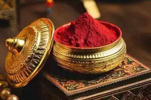 বিধবা শাশুড়িকে সিঁদুর পরিয়ে ‘অত্যাচার’, পুত্রবধূর বিরুদ্ধে থানায় নির্যাতিতা
