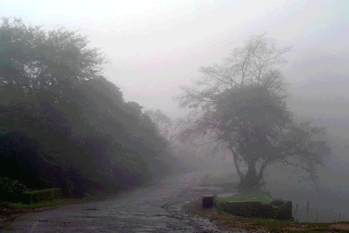 Experience the Magic of Monsoon in Coorg Tourism