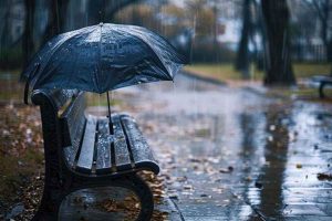 ছাতা হারানোর রোগ? কীভাবে সামলাবেন বর্ষার সঙ্গীকে, রইল ৫ অব্যর্থ উপায়