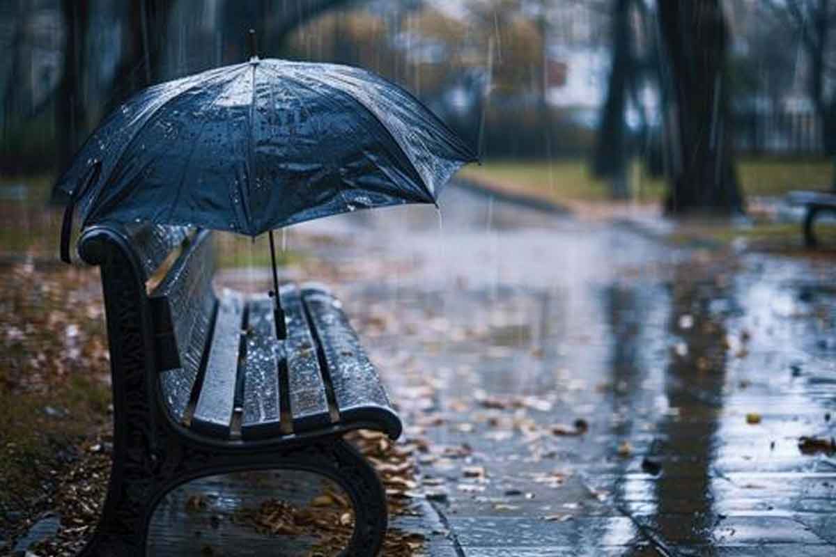 ছাতা হারানোর রোগ? কীভাবে সামলাবেন বর্ষার সঙ্গীকে, রইল ৫ অব্যর্থ উপায়