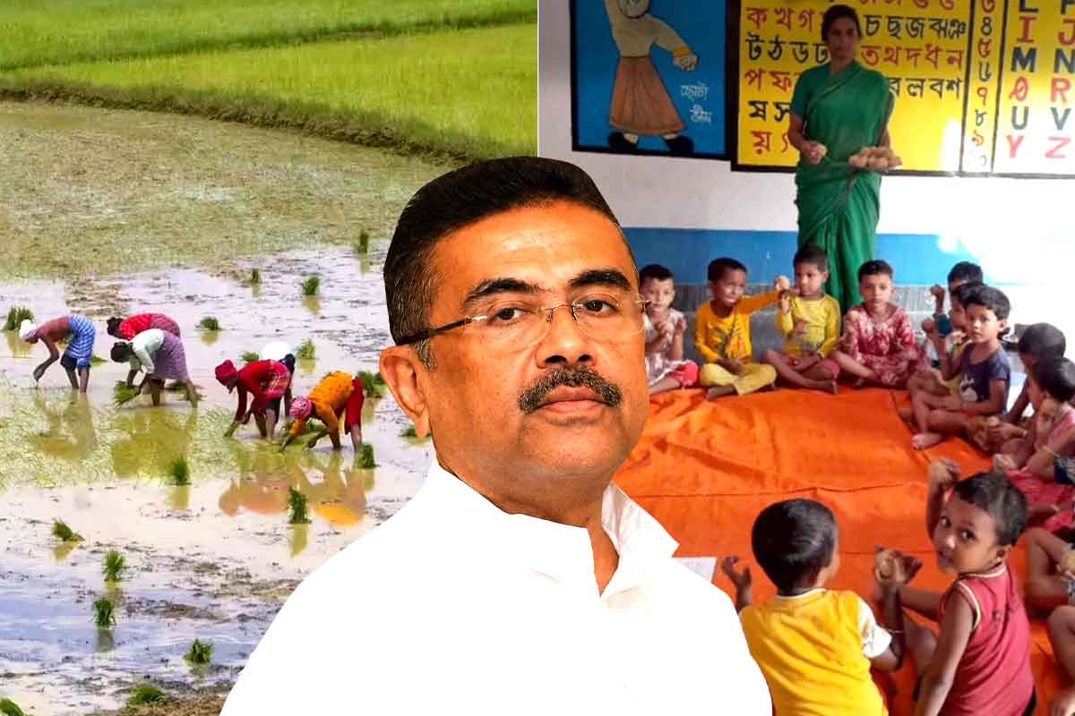 কৃষকদের জন্য ভরতুকি, অঙ্গনওয়াড়িতে বিনামূল্যে বিদ্যুৎ, প্রতি মাসে বিল, বড় ঘোষণা শুভেন্দু সরকারের
