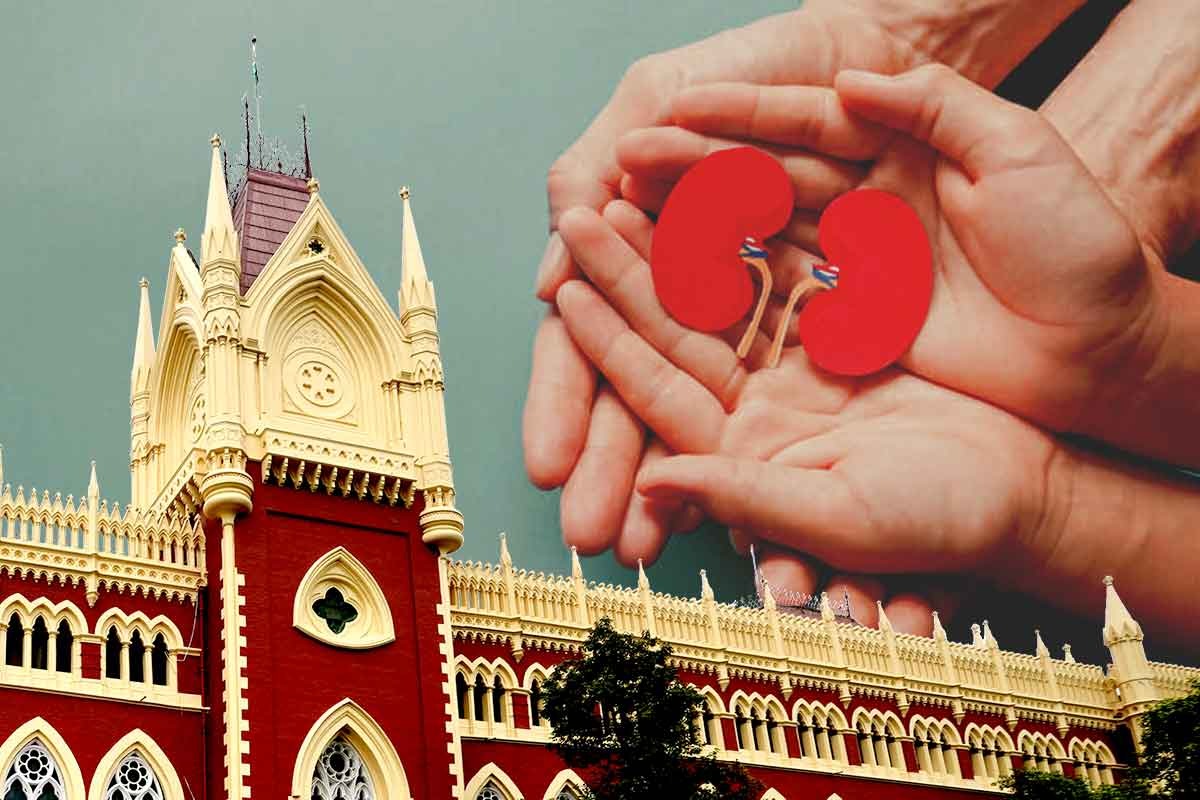 প্রাণের দাম নথির চেয়ে বেশি! অনাত্মীয়ের কিডনি দানে নজিরবিহীন রায় হাই কোর্টের