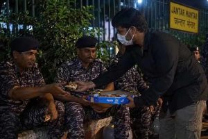 ‘খেয়ে নিন’, ককরোচ-আন্দোলনকে সমর্থন করেও র‌্যাফকে পিৎজা অফার যুবকের! ভাইরাল ভিডিও